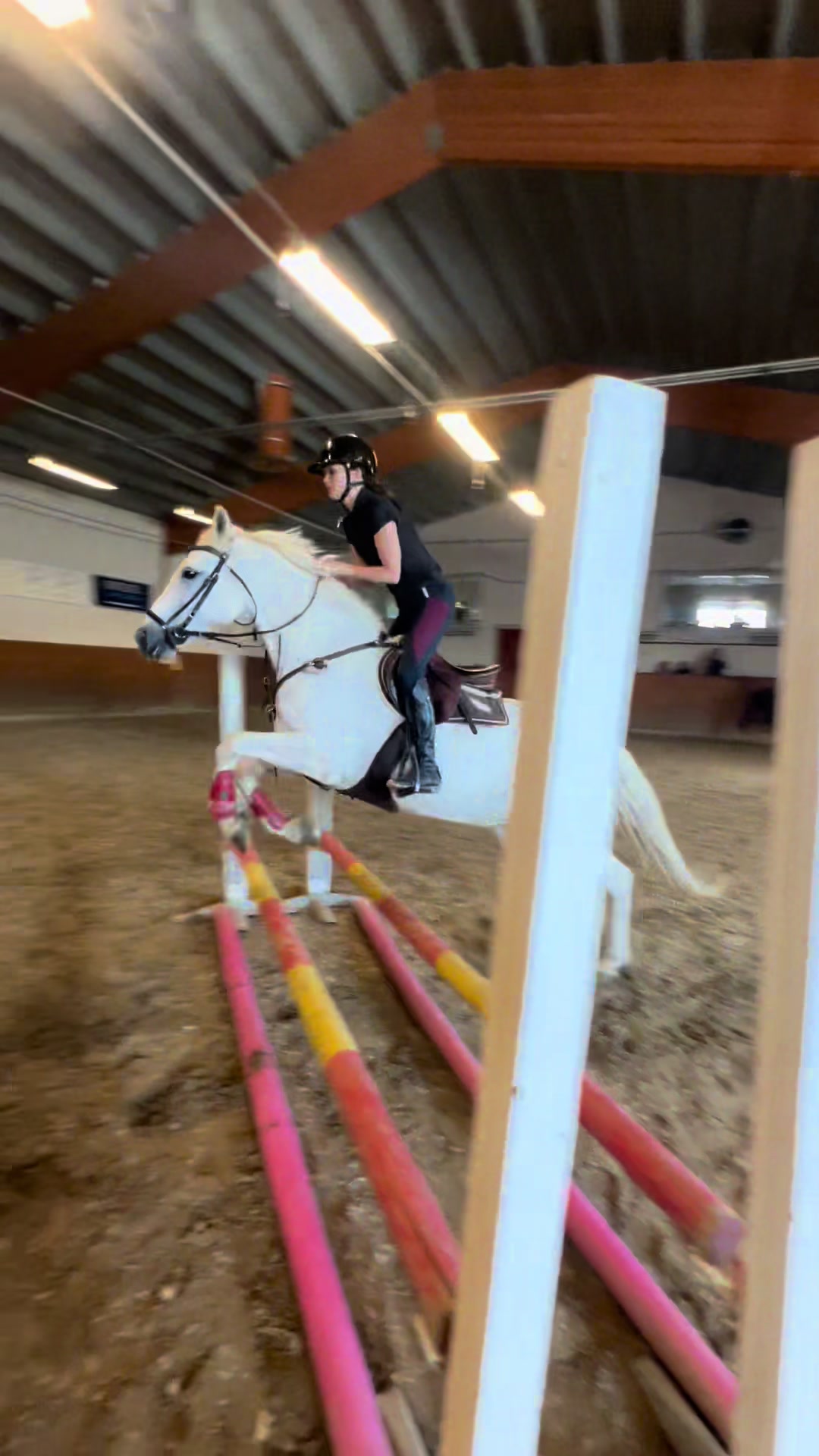 @♡Ronja♡