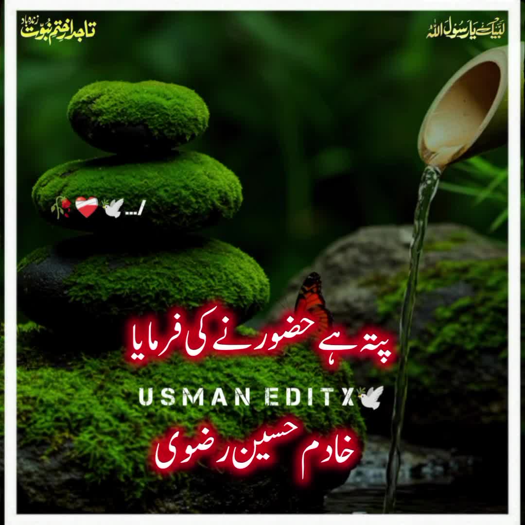 @سلطنت رضویہ 😍😍