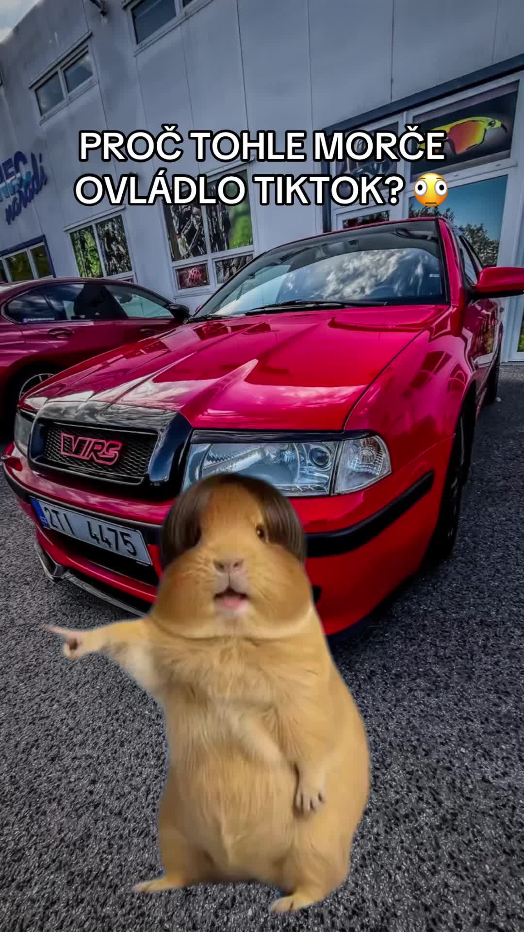 @𝕄𝕊𝕊𝕎