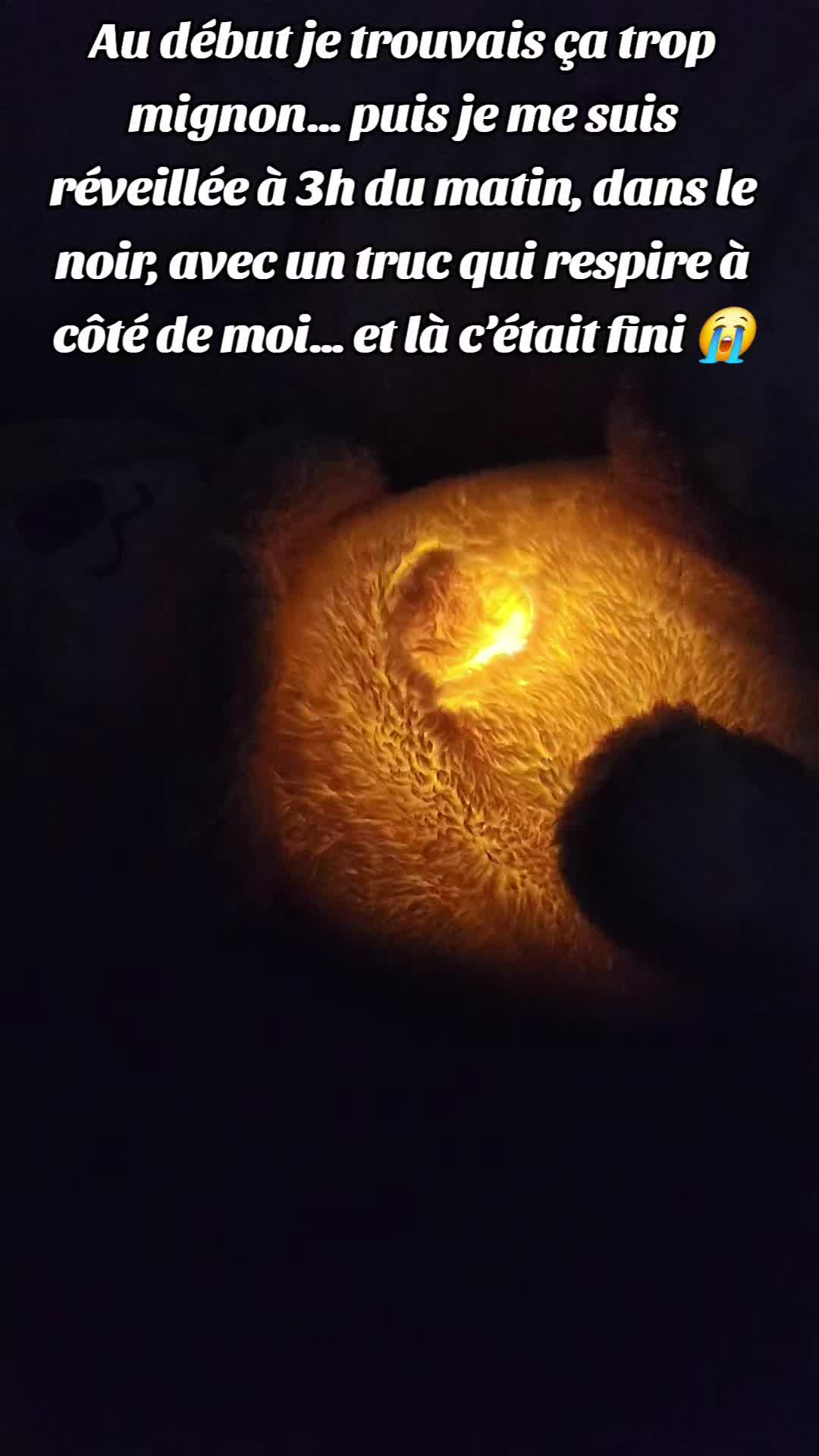 @🇲🇫Sab.de.france.a.tunis🇹🇳