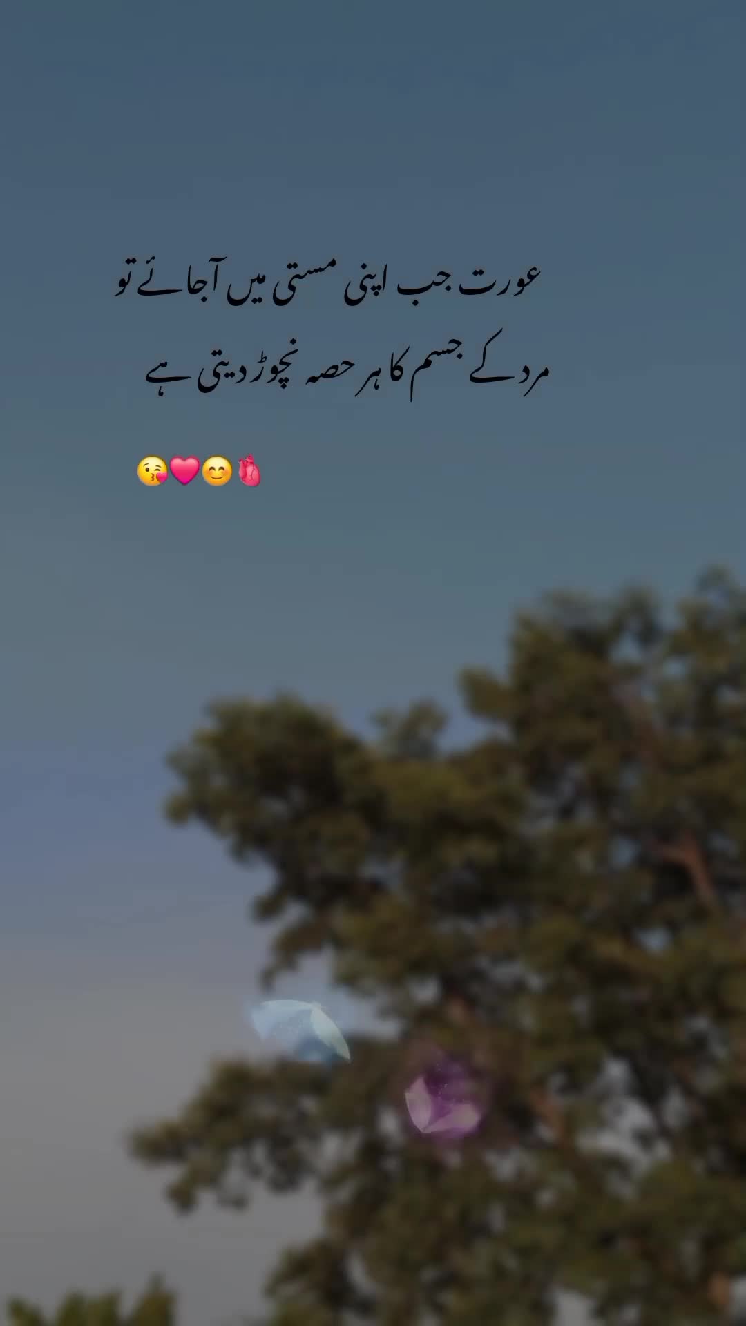 @NOOR 𔘓 / 🫥