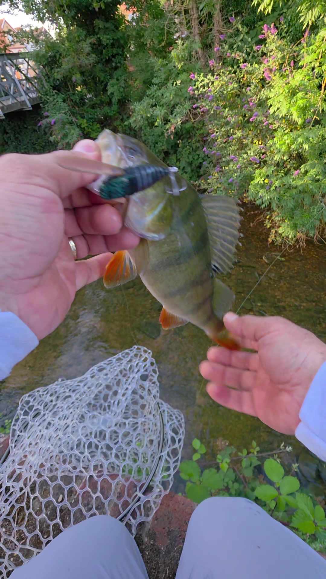 @BF Angler