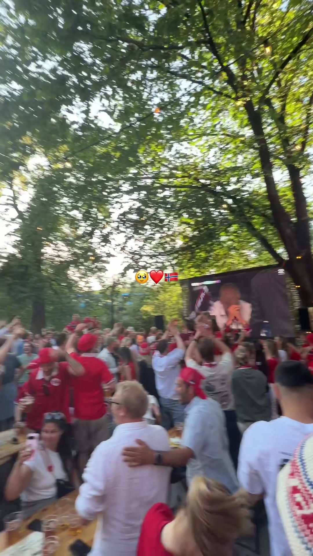 @Seline Pettersen