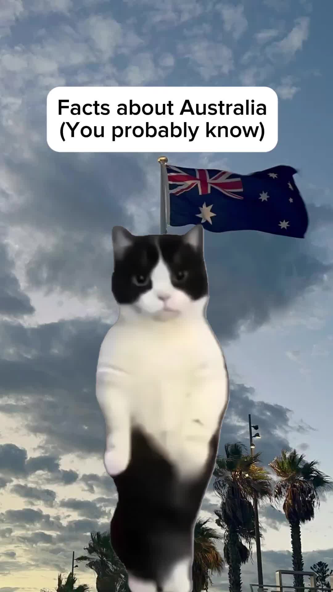 @Histonerd
