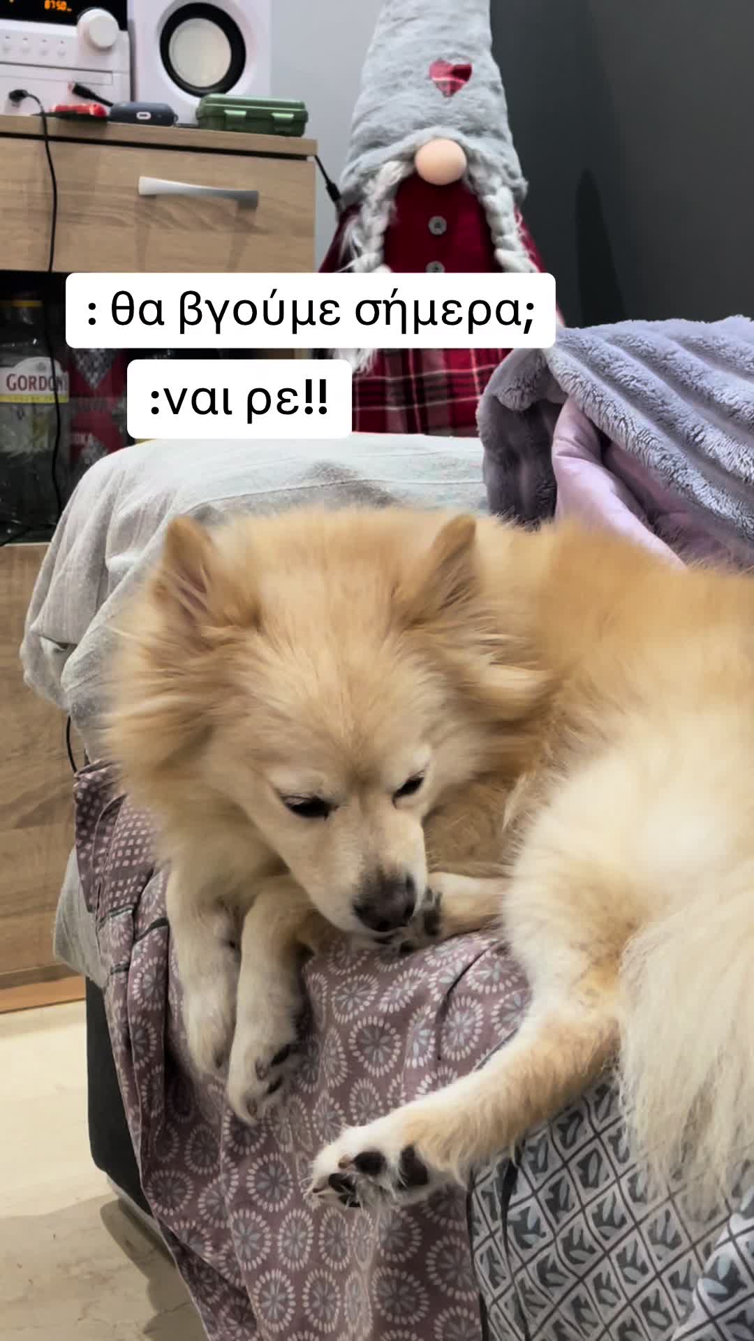 @Fotis Nikou