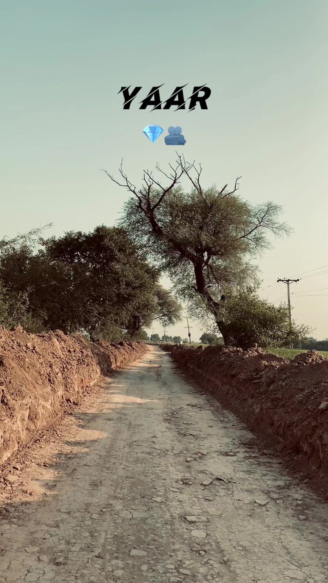 @🍁پنجاب_تے_پنجابی🍁
