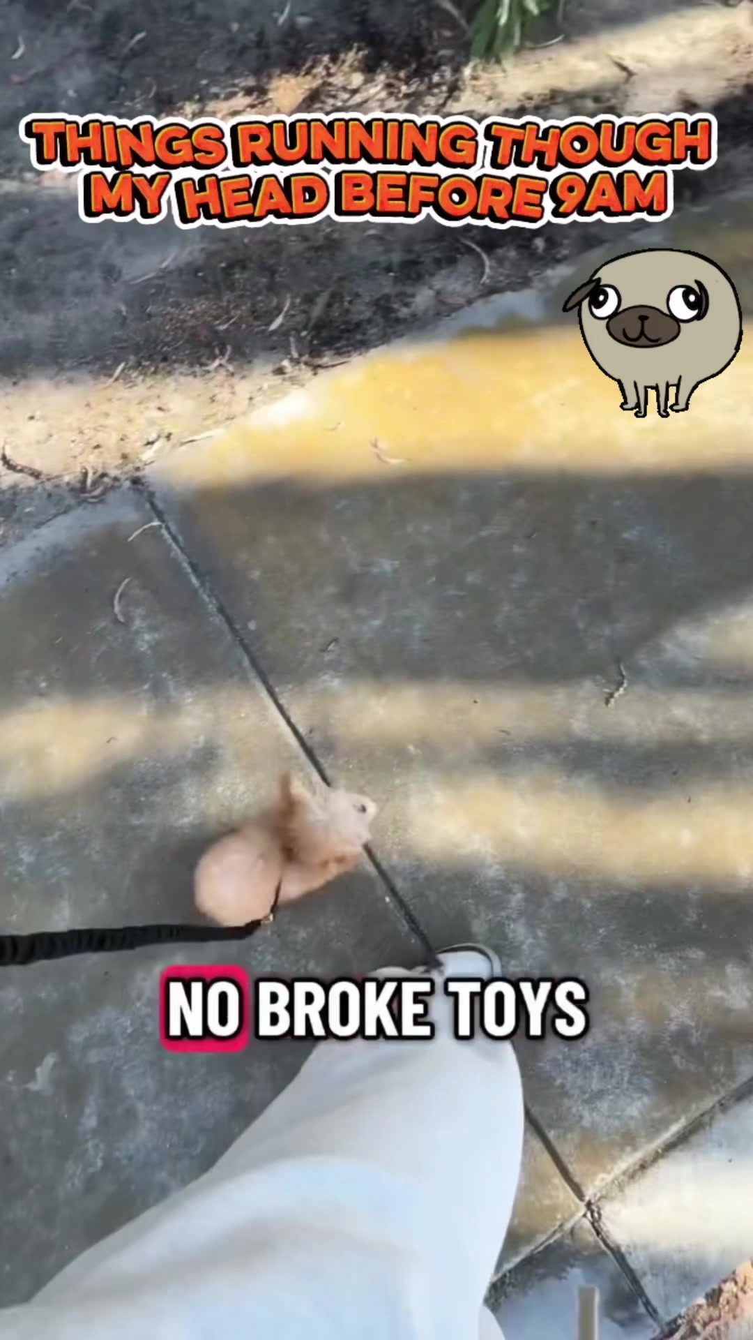 @LooneyTV