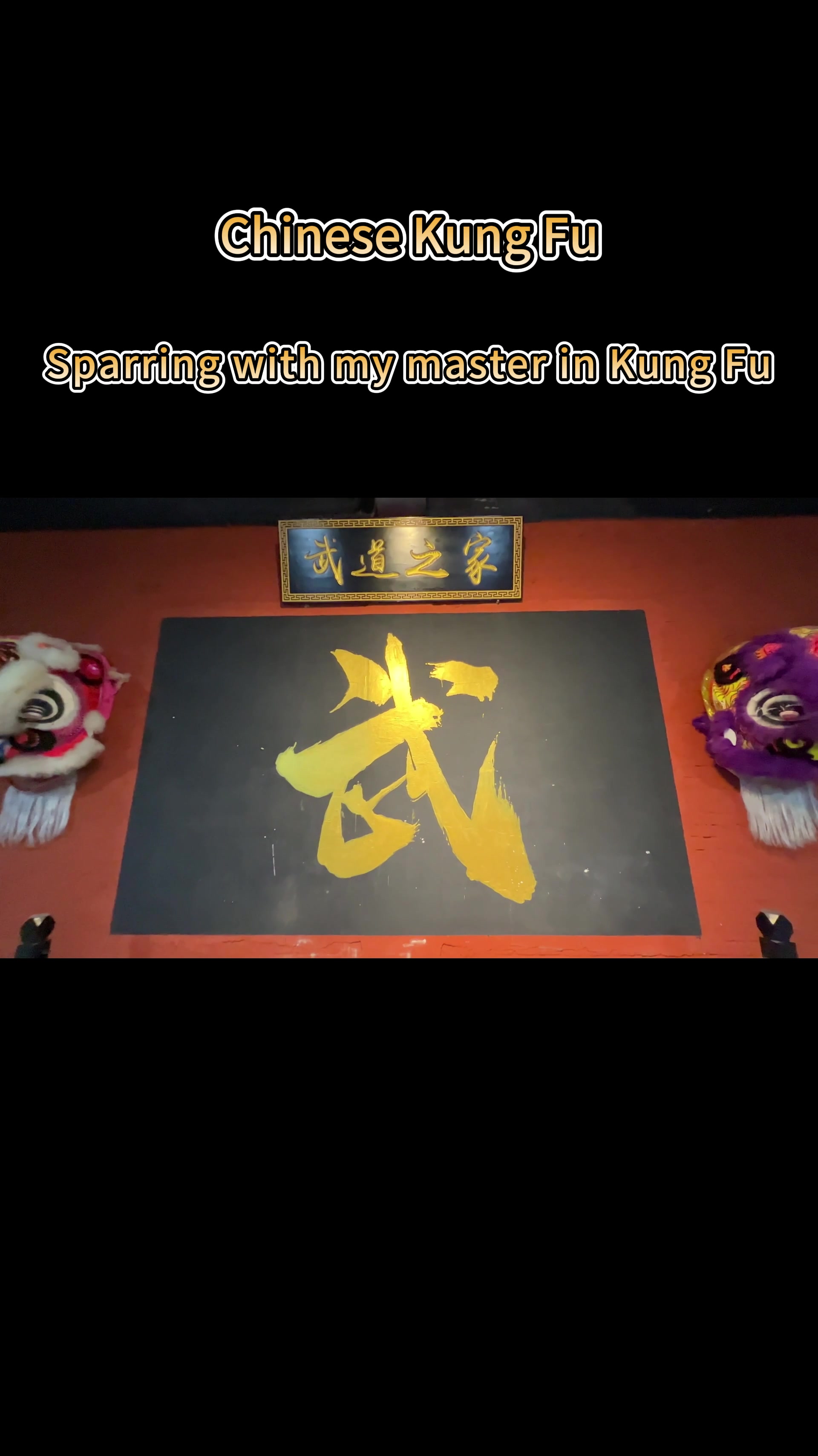 @Kung Fu Dream: Wang Xiaohu