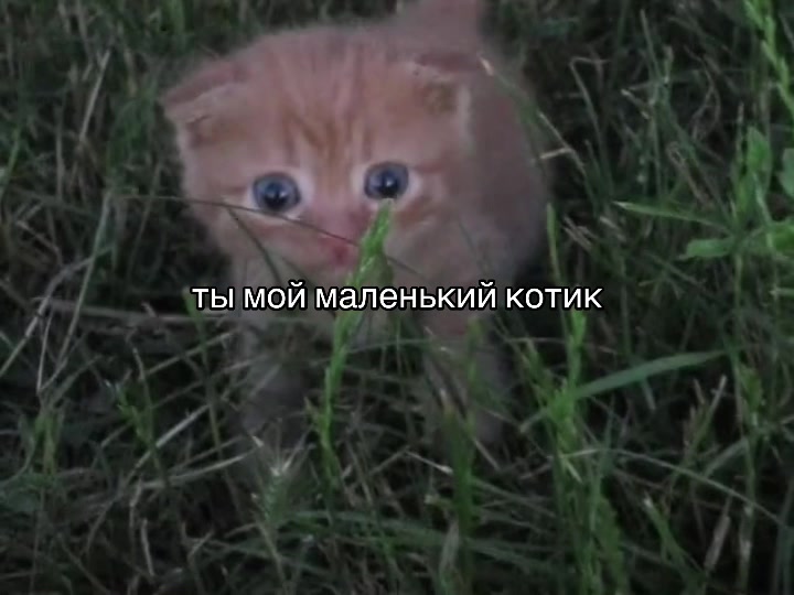 @осколки прошлого