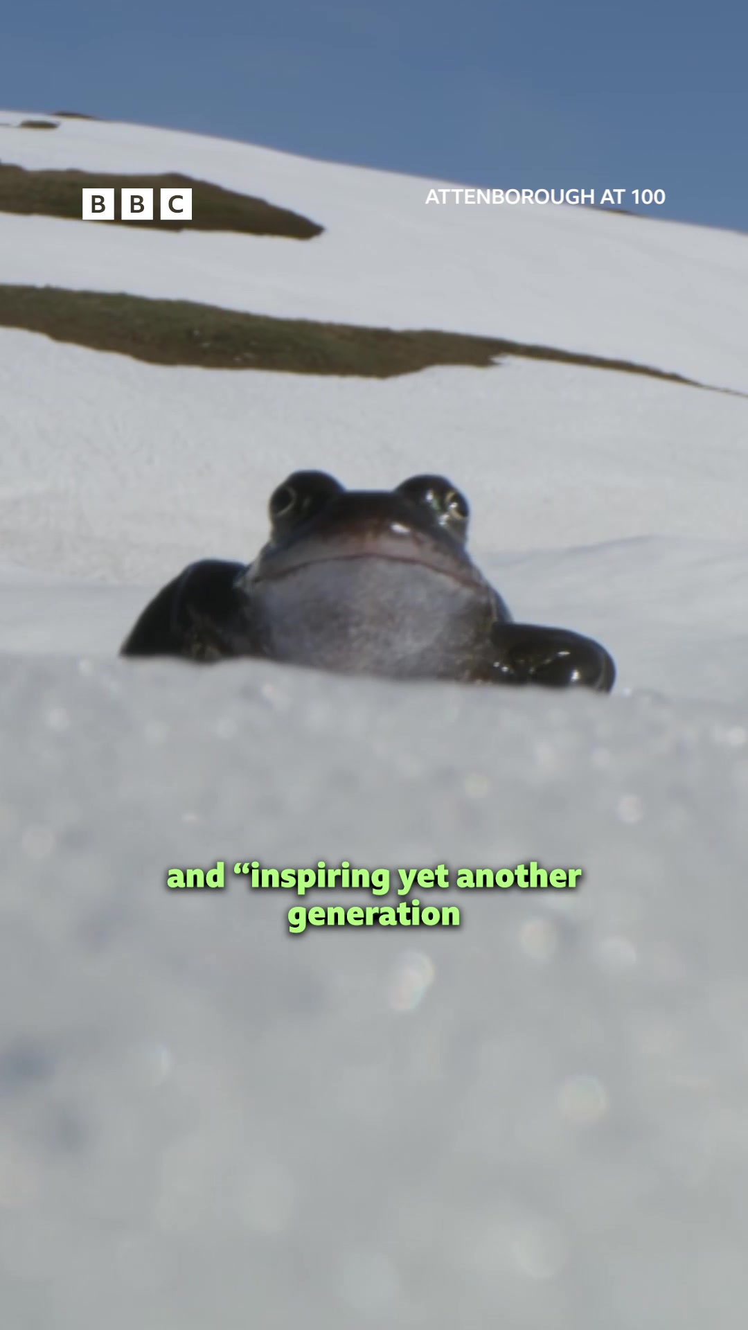 @BBC