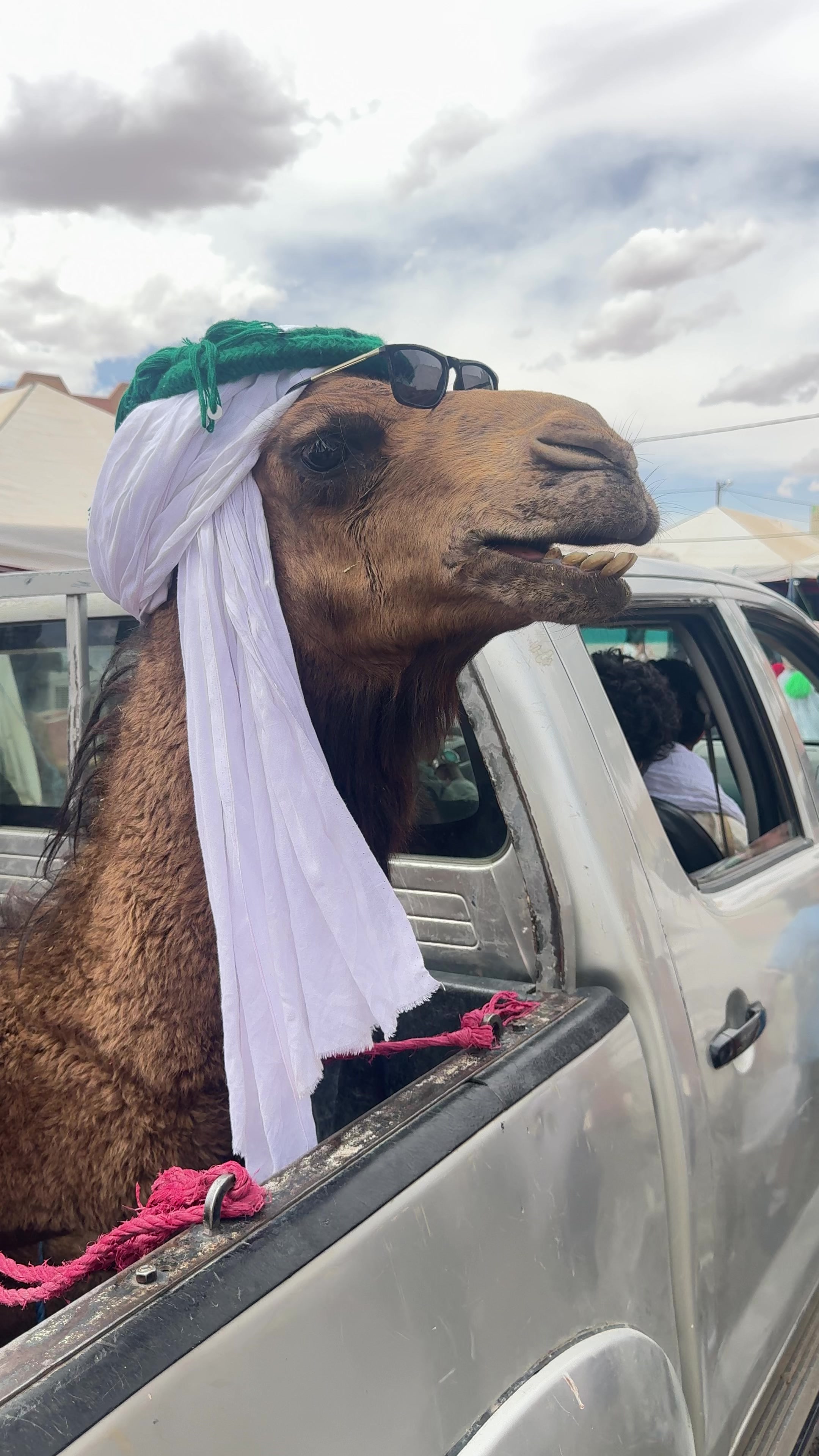 @Merzouga Globe 🌎