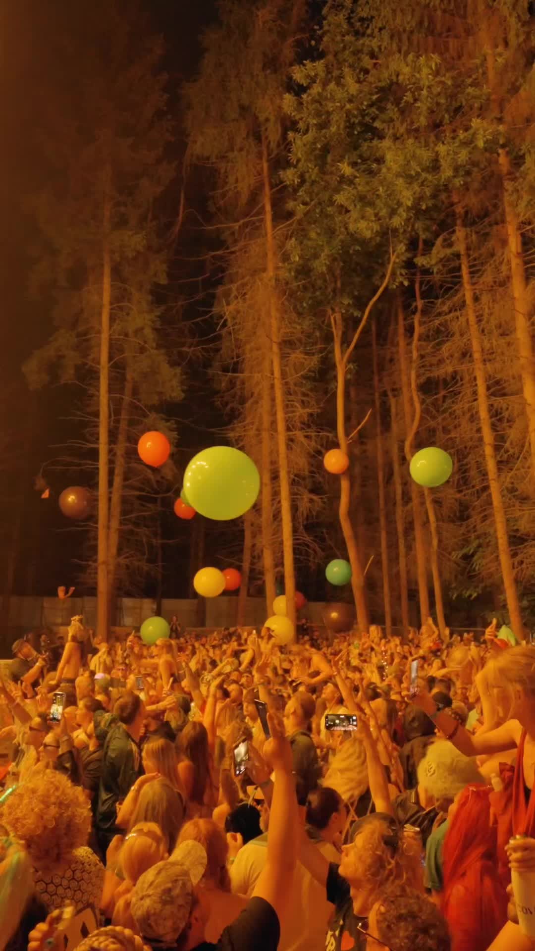 @Forbidden Forest