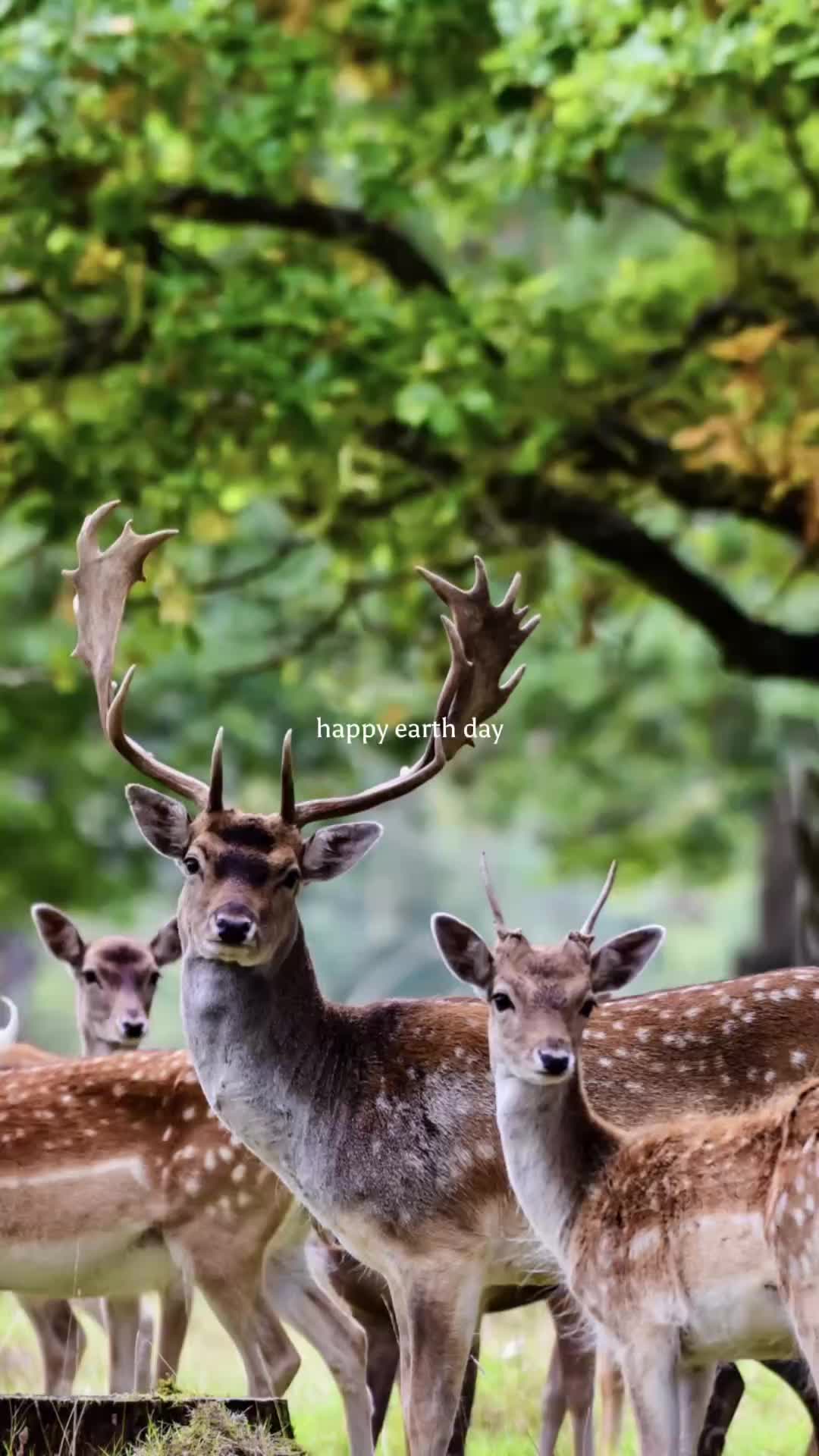 @Wild_andwoody_photography 📸
