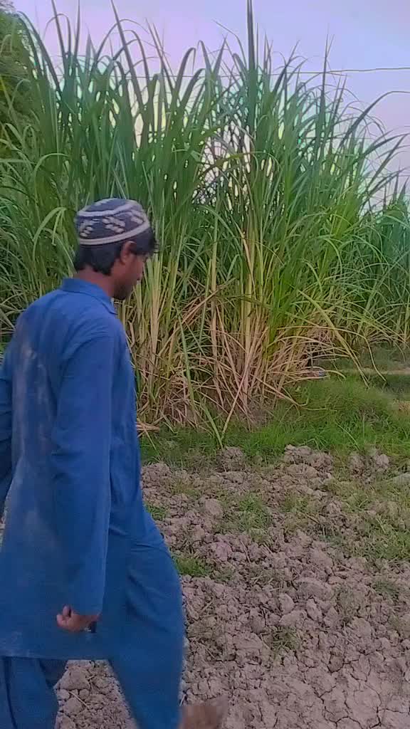 @MubashirMalikOfficial