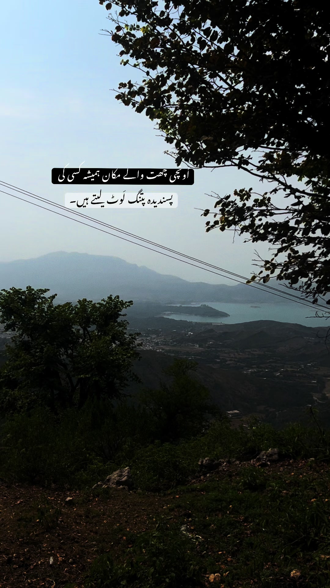 @بکھرے خواب🍂