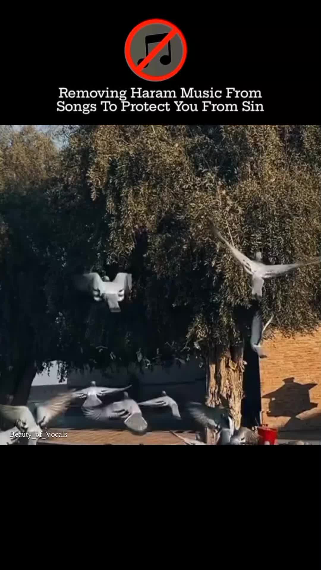 @𝐁𝐞𝐚𝐮𝐭𝐲_𝐨𝐟_𝐕𝐨𝐜𝐚𝐥𝐬