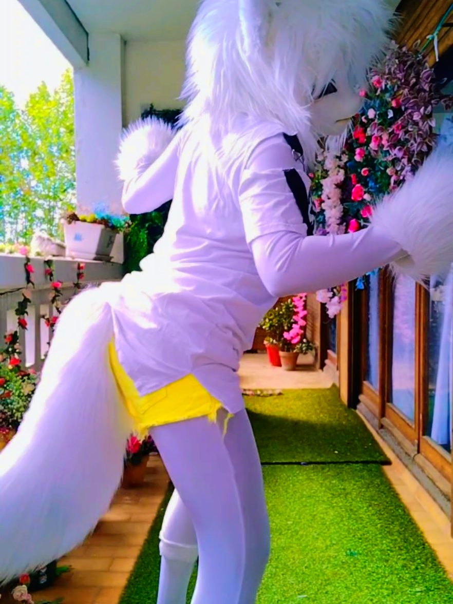 @SnowCat