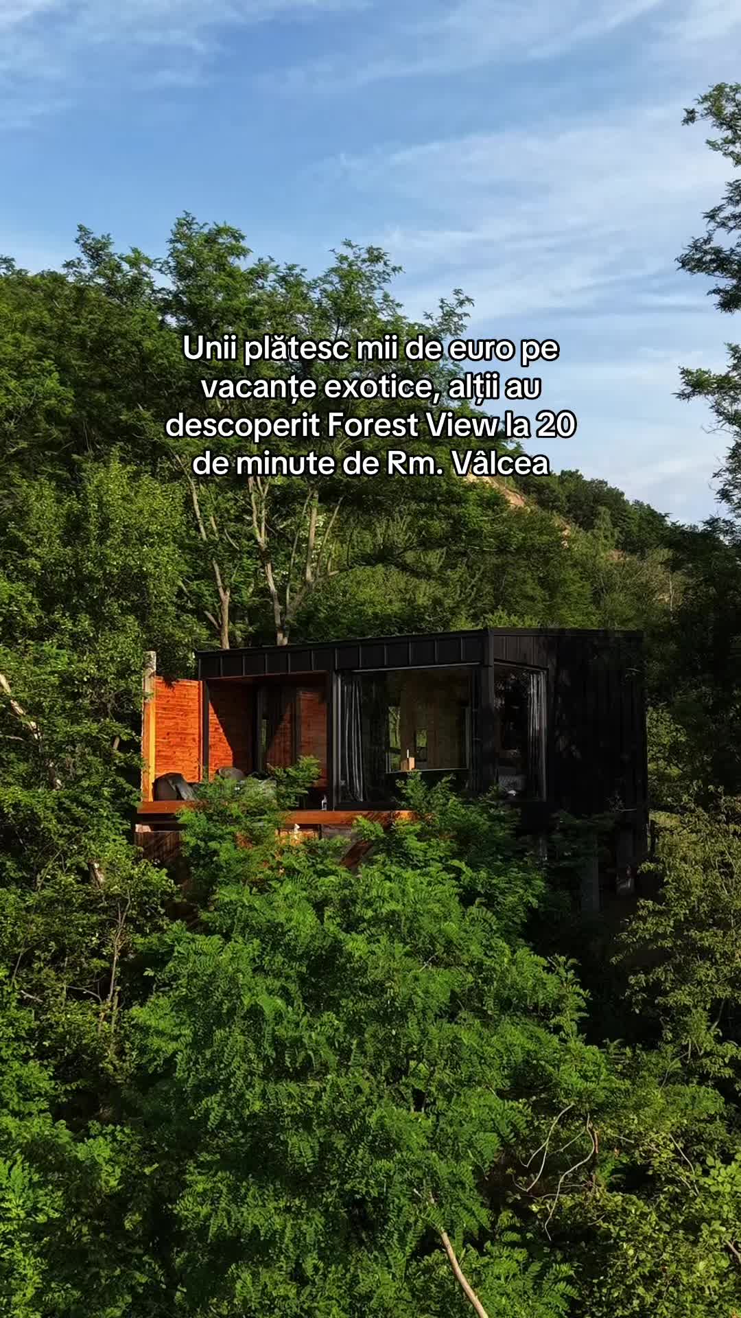 @Forest View Valcea