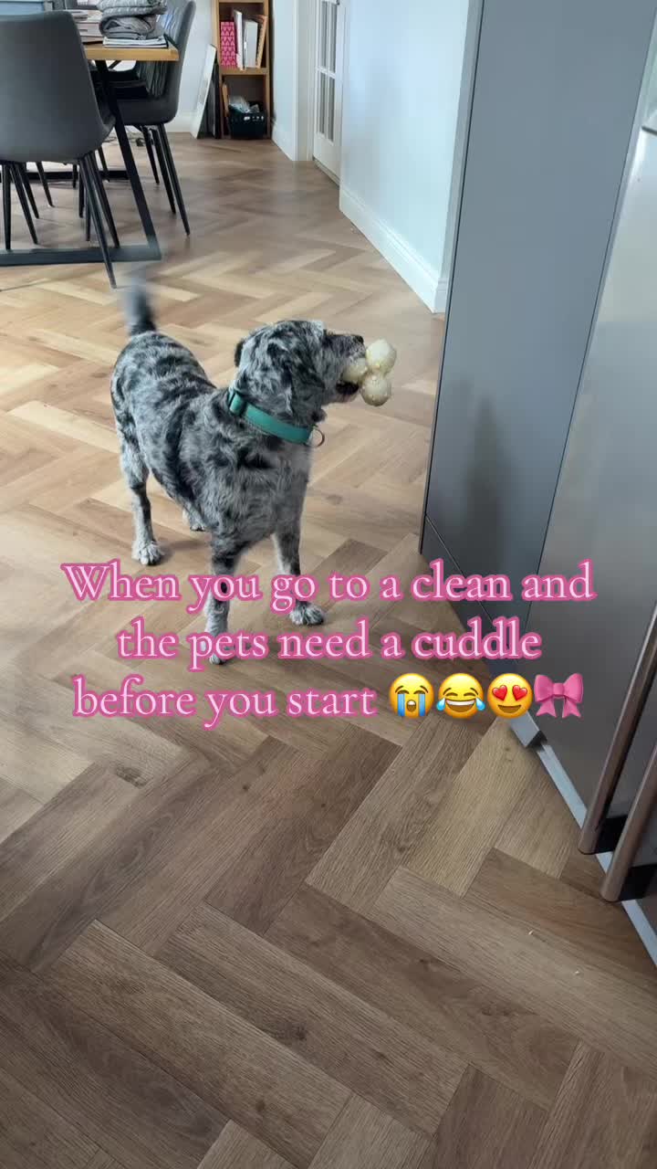@royalcleansmk