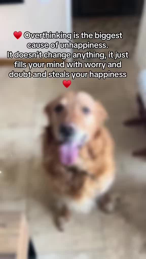 @Happy buddy