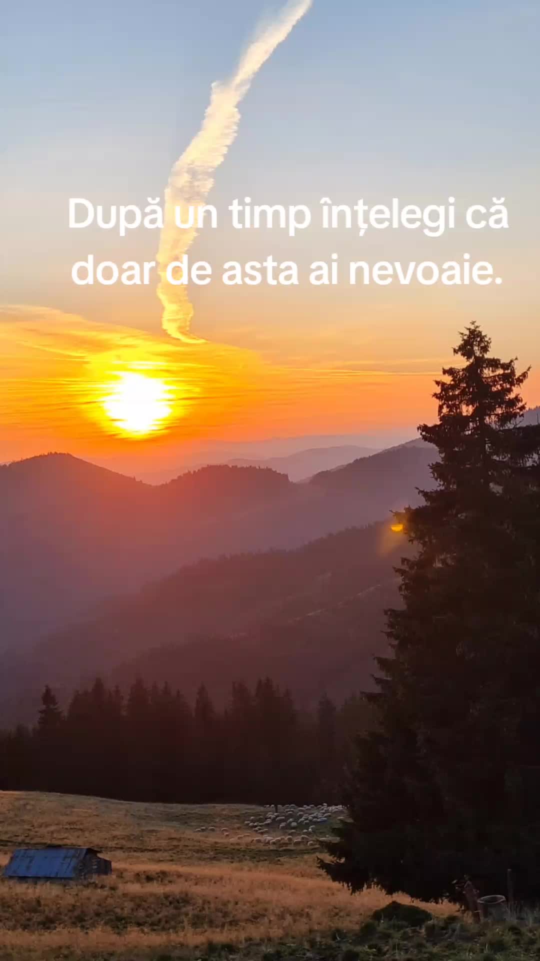 @Ilie Vasies