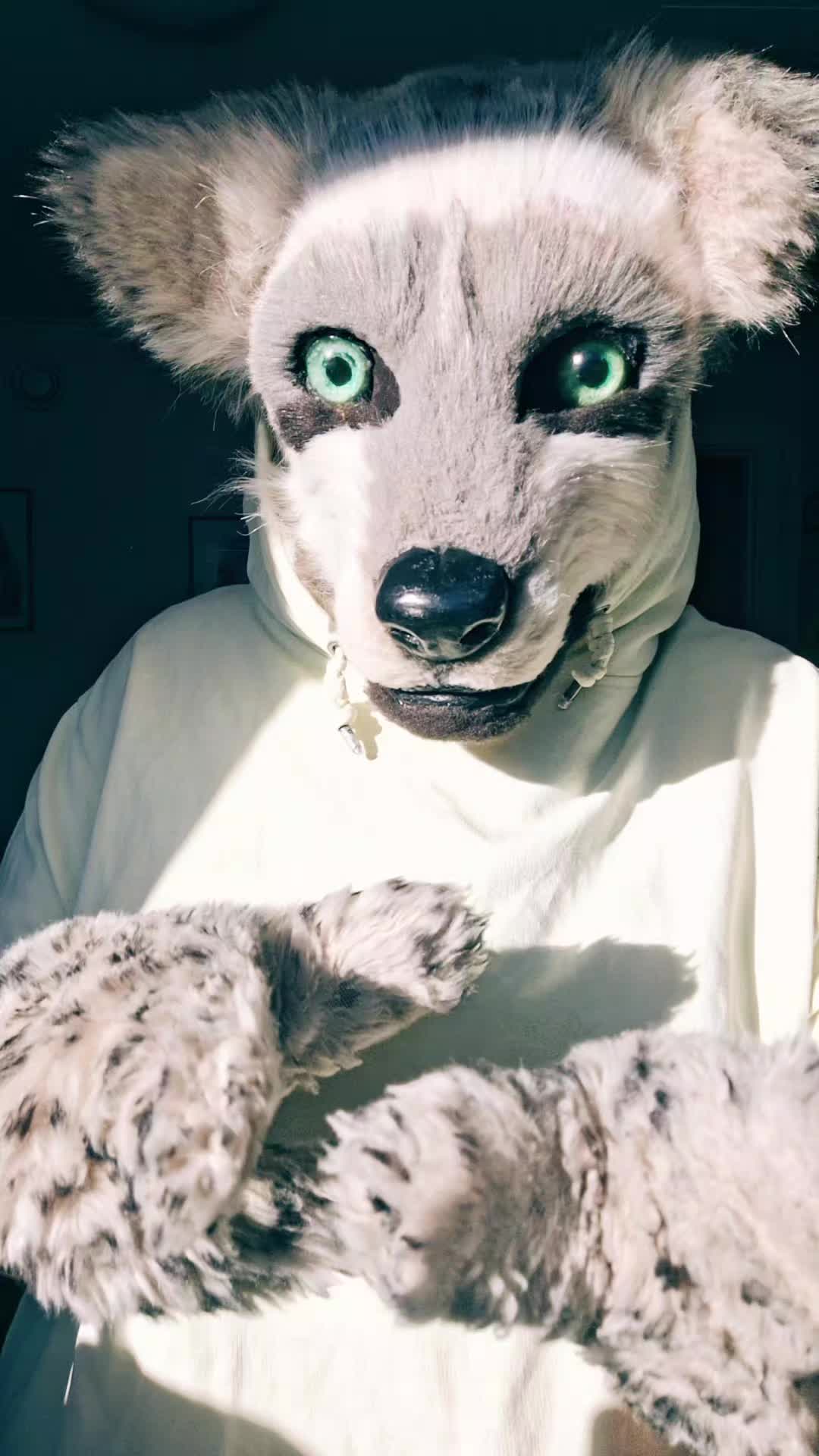 @ℂ/𝕃 🌟