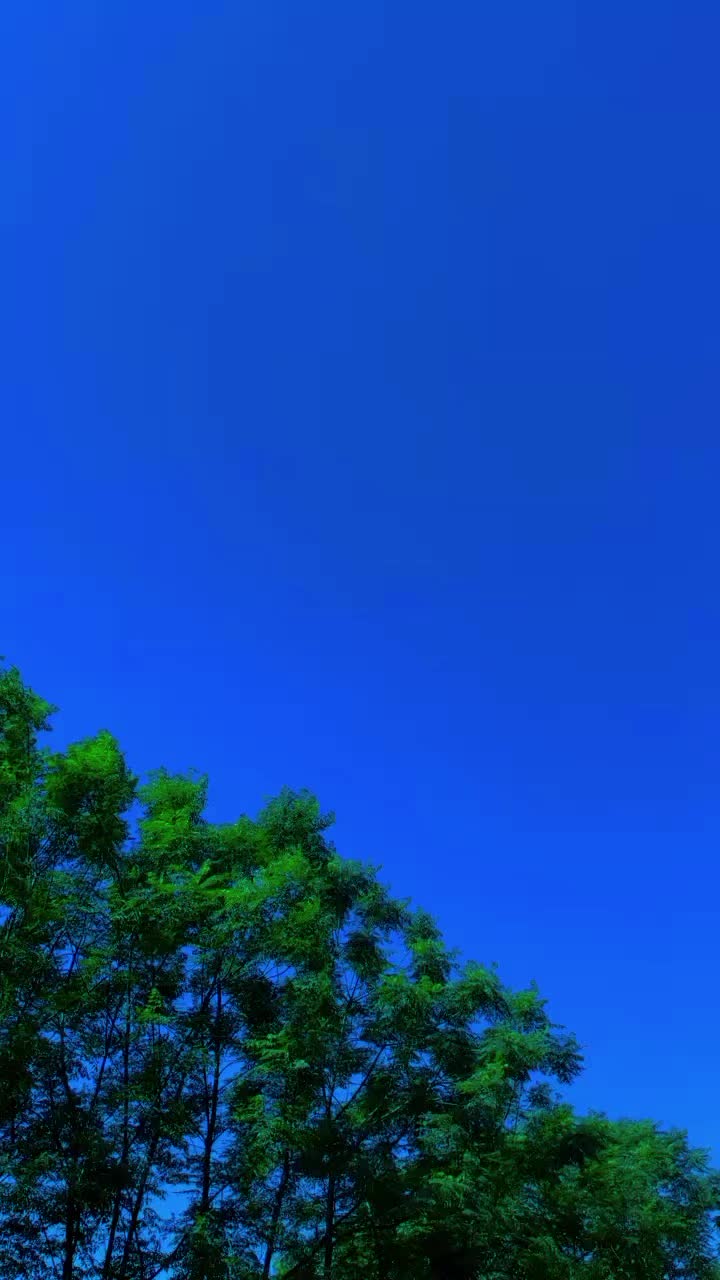 @❣️Khan🇵🇰6830