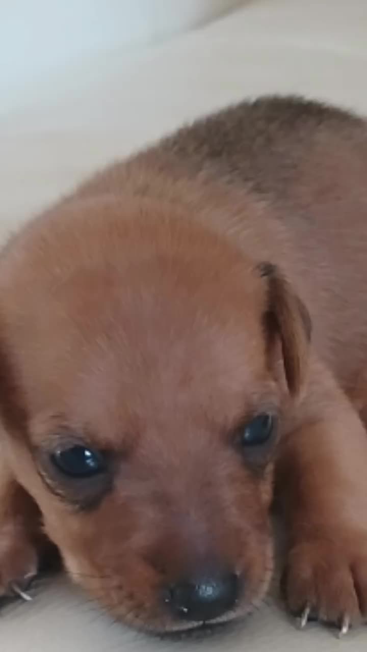 @fotini 🥰 🥰