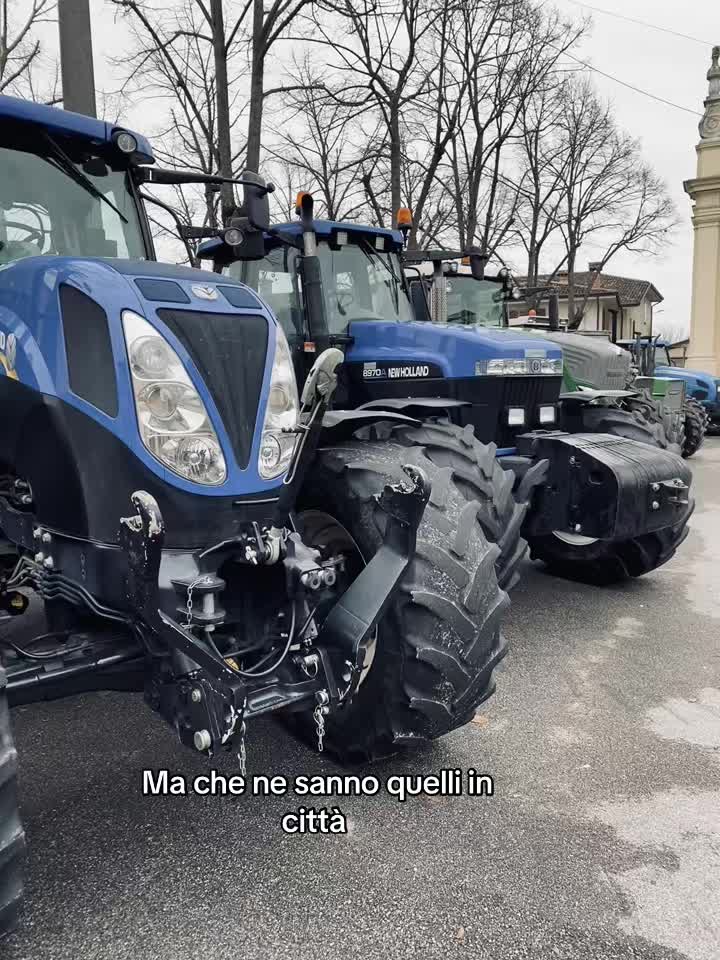 @Viola💙