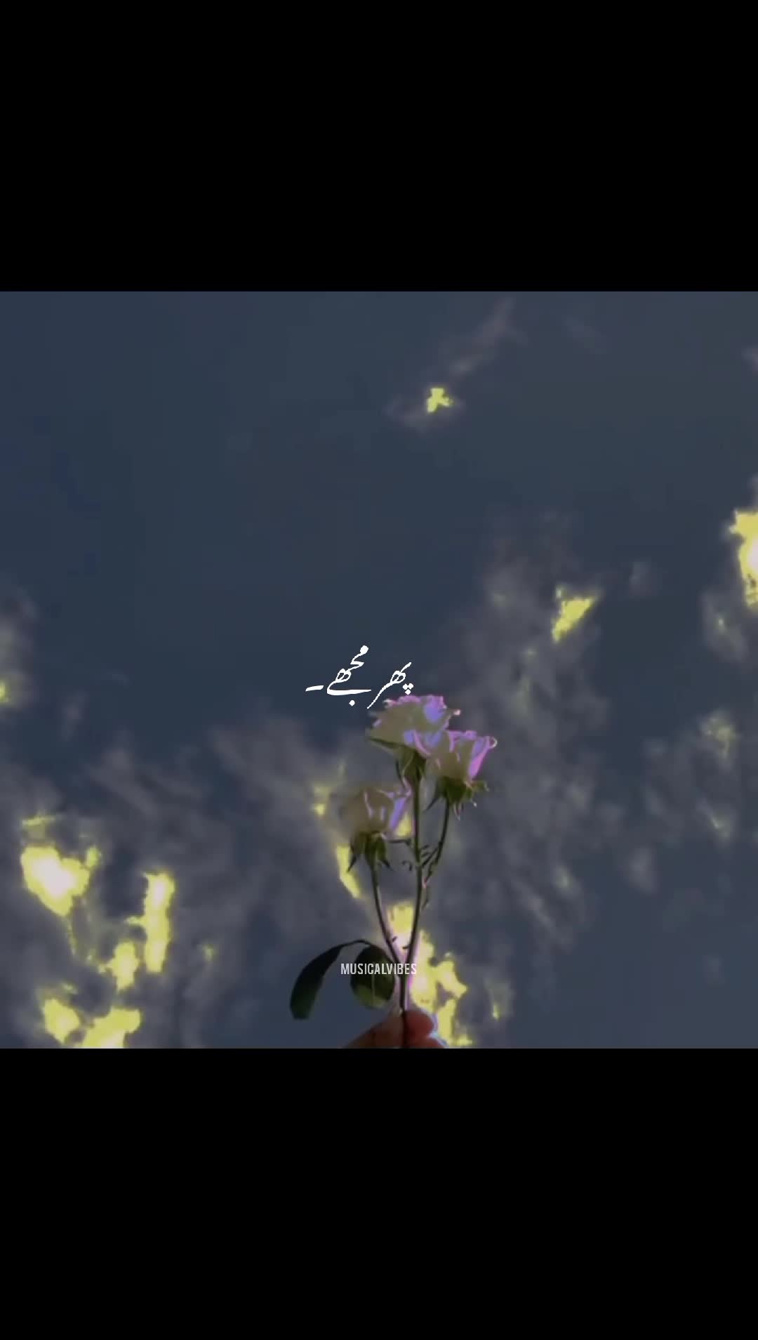 @S_K~Vibes ๐ซ