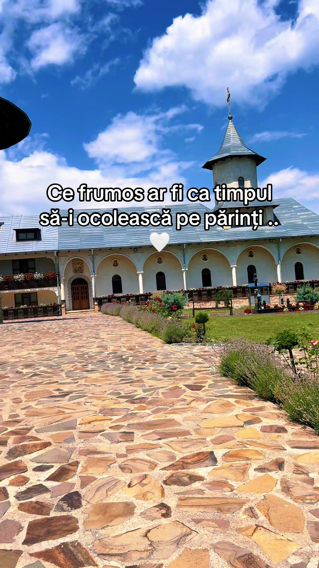 @Ellena Cătăliina