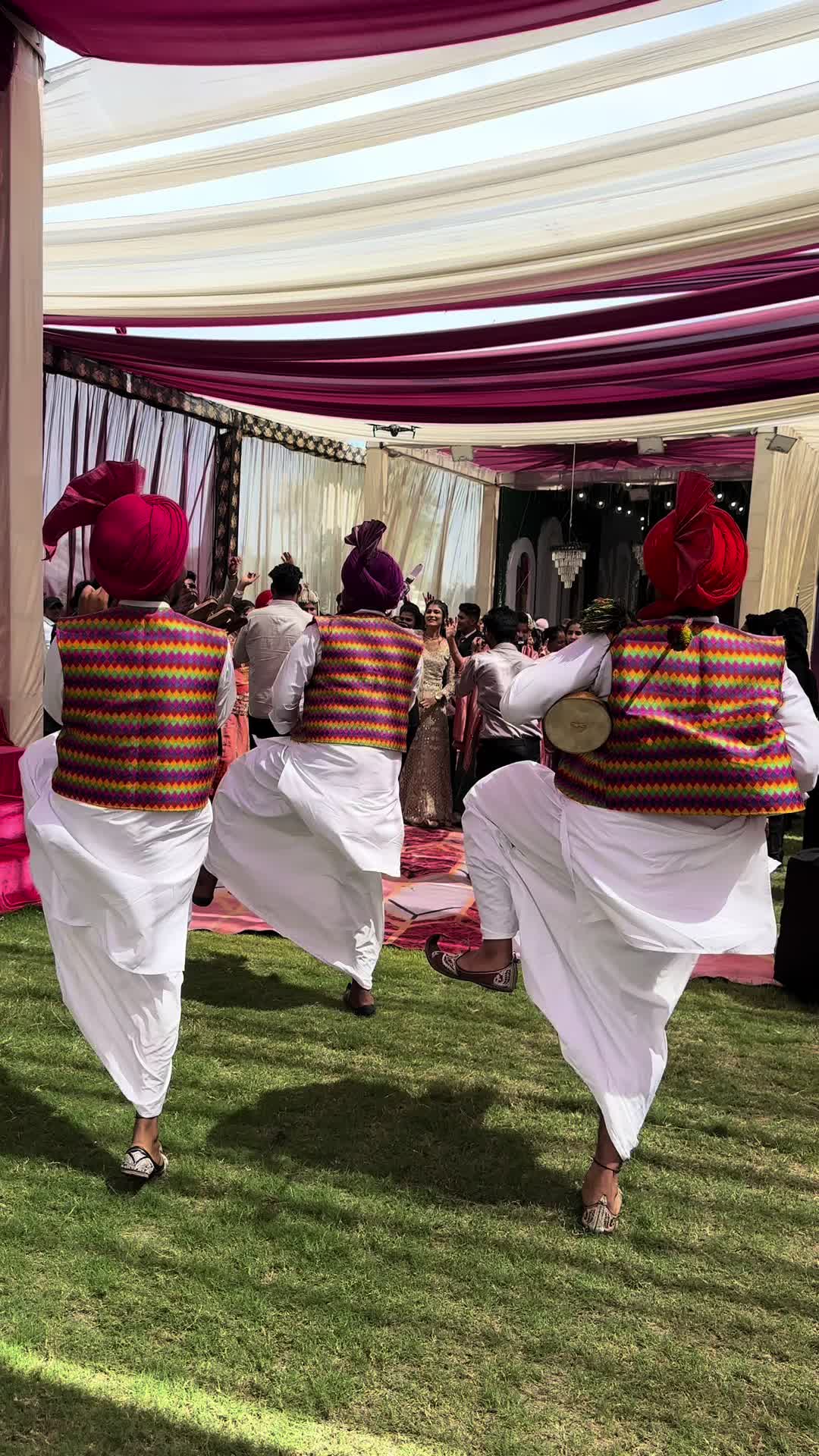 @Varinder Mansa PB31