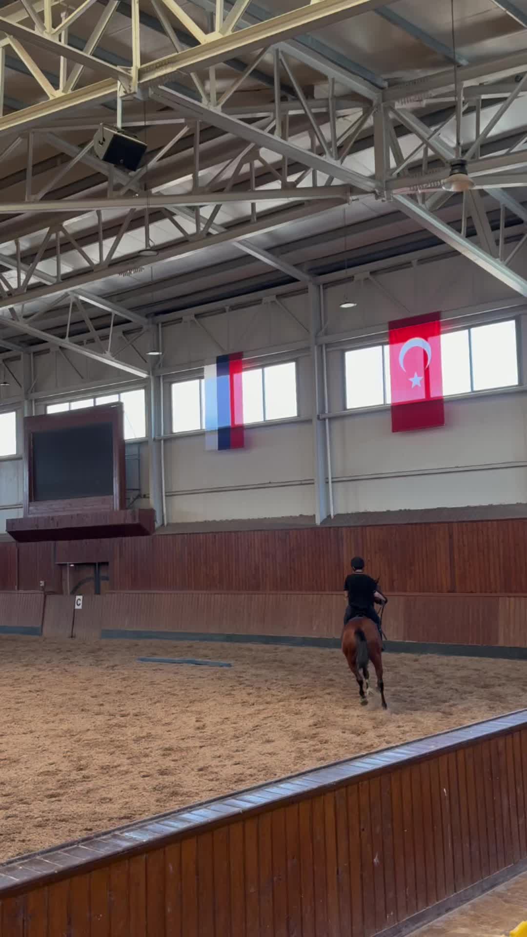 @حە مە🐎🫀