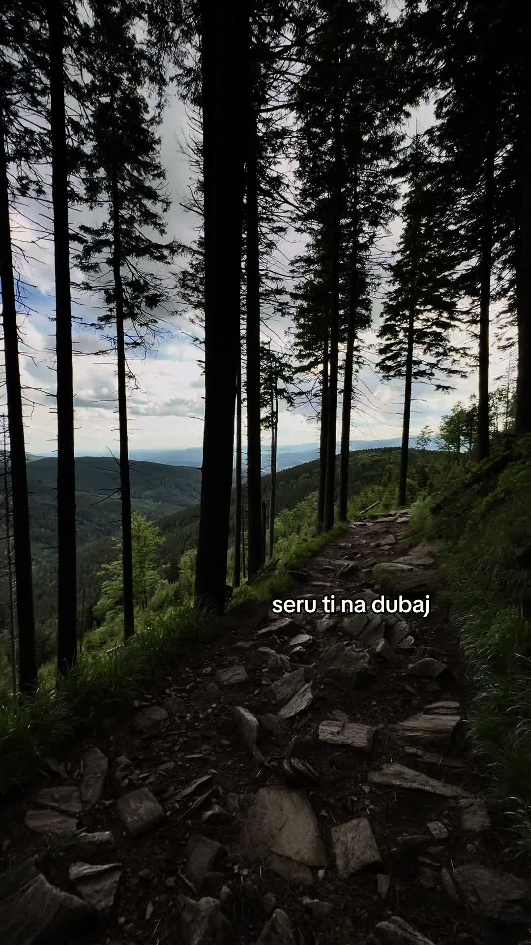 @Olmtrxsh
