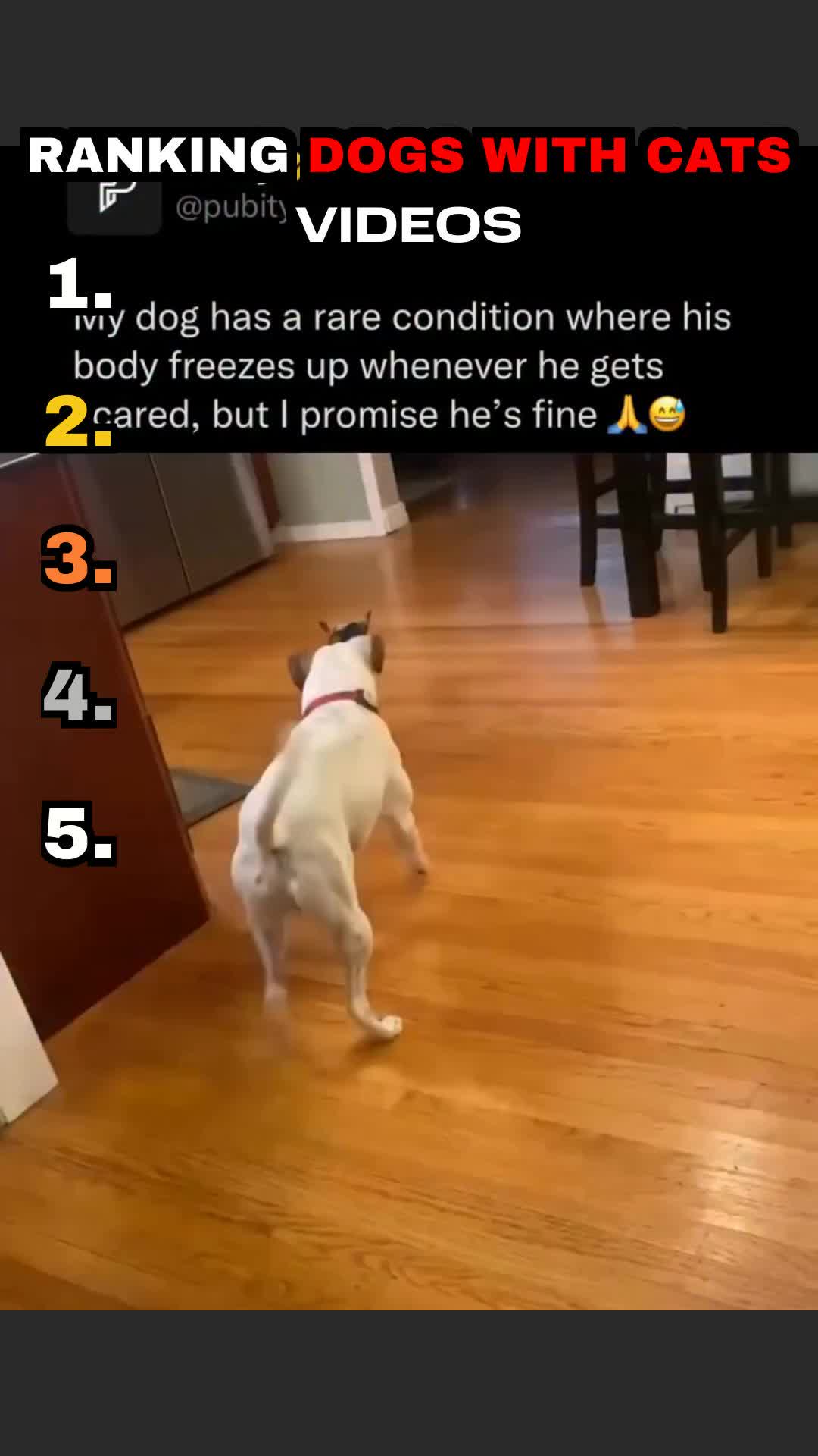 @Top5&rsquo;s Of The Day