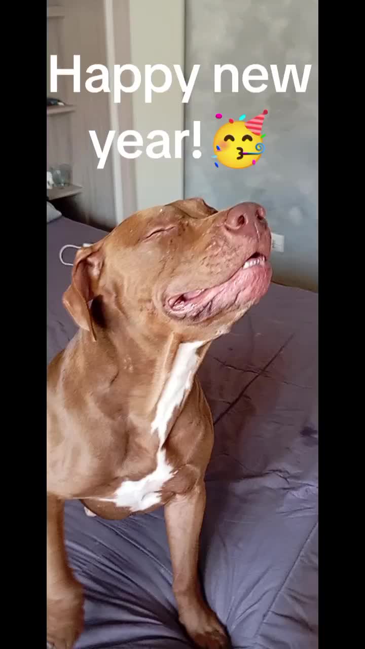 @simo1980