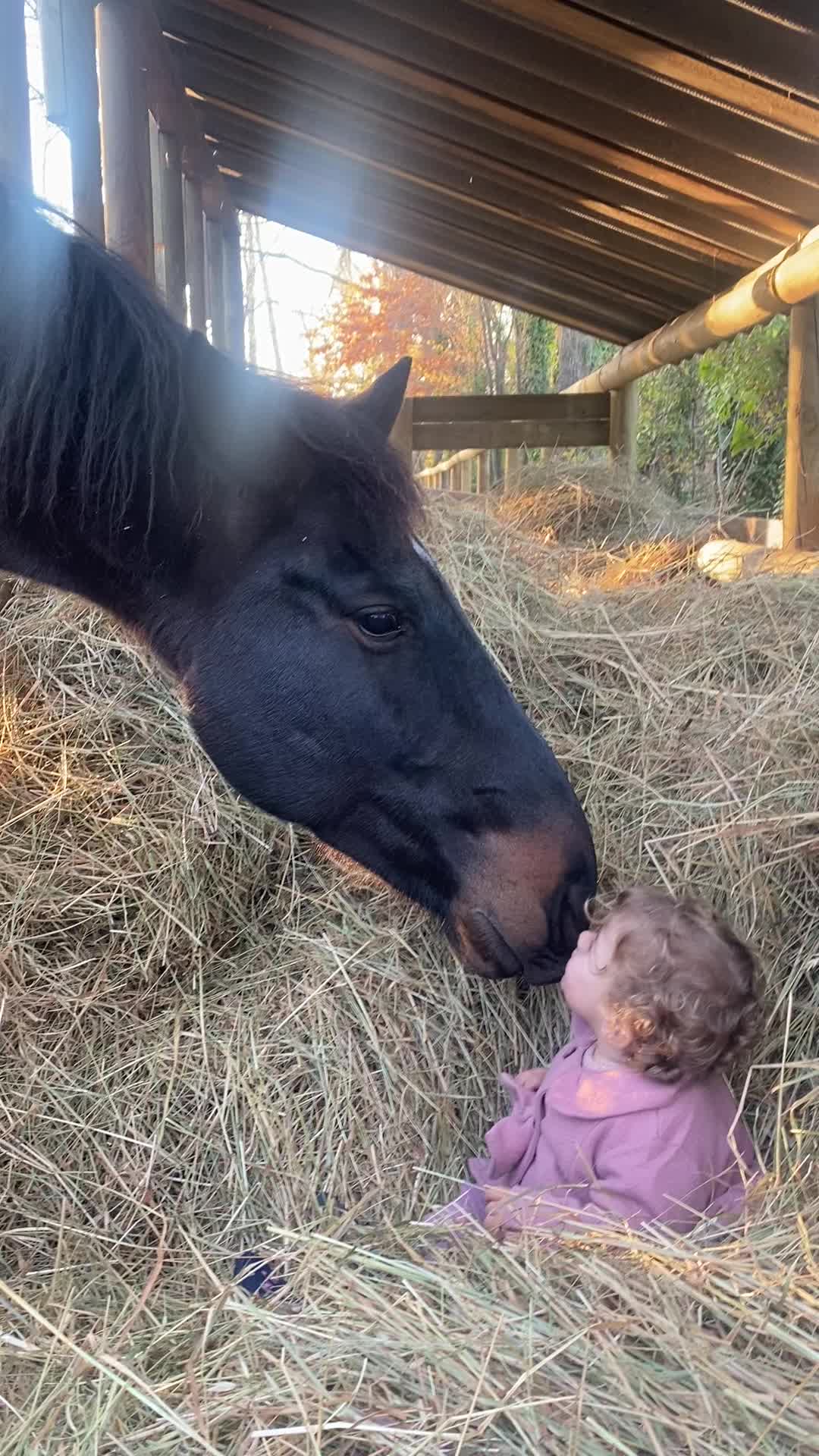 @Horsewoman Trip