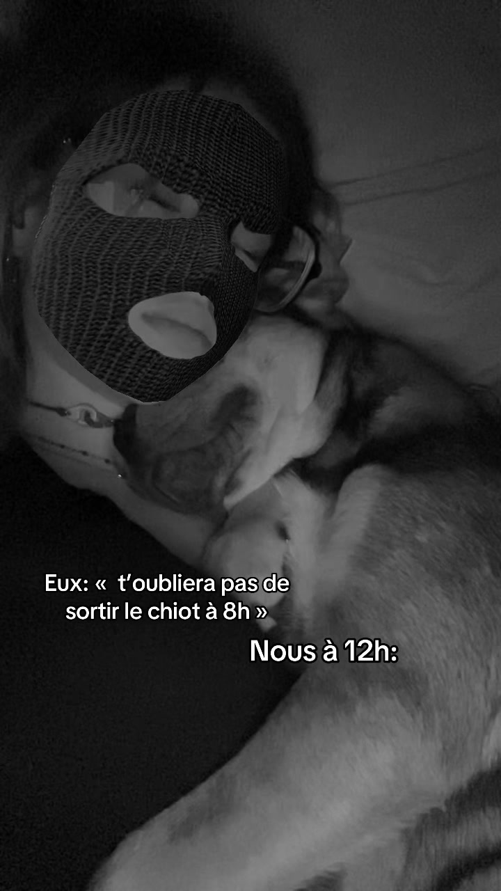 @Melina ᥫ᭡