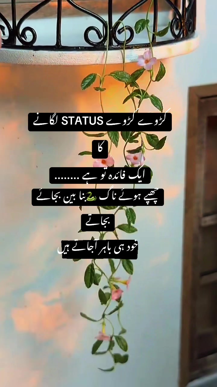 @Dil