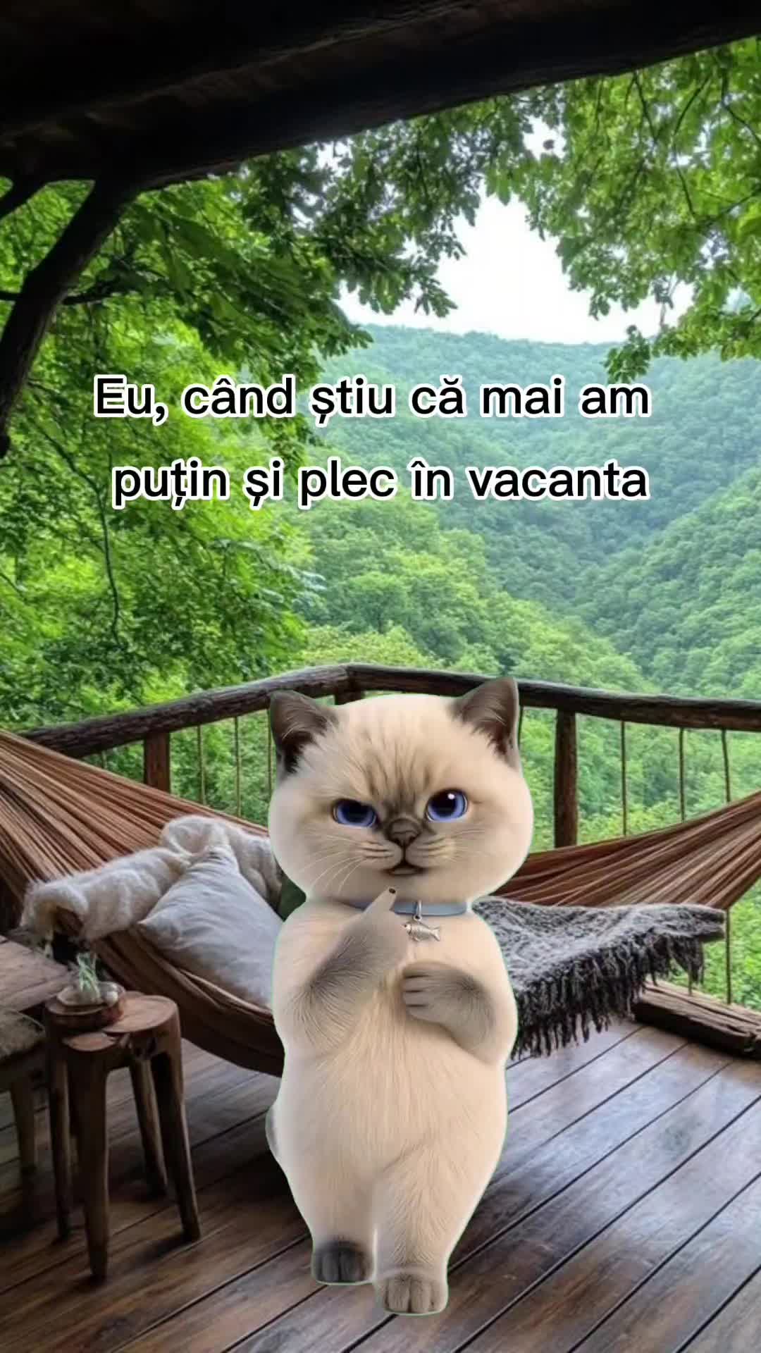 @Cristina