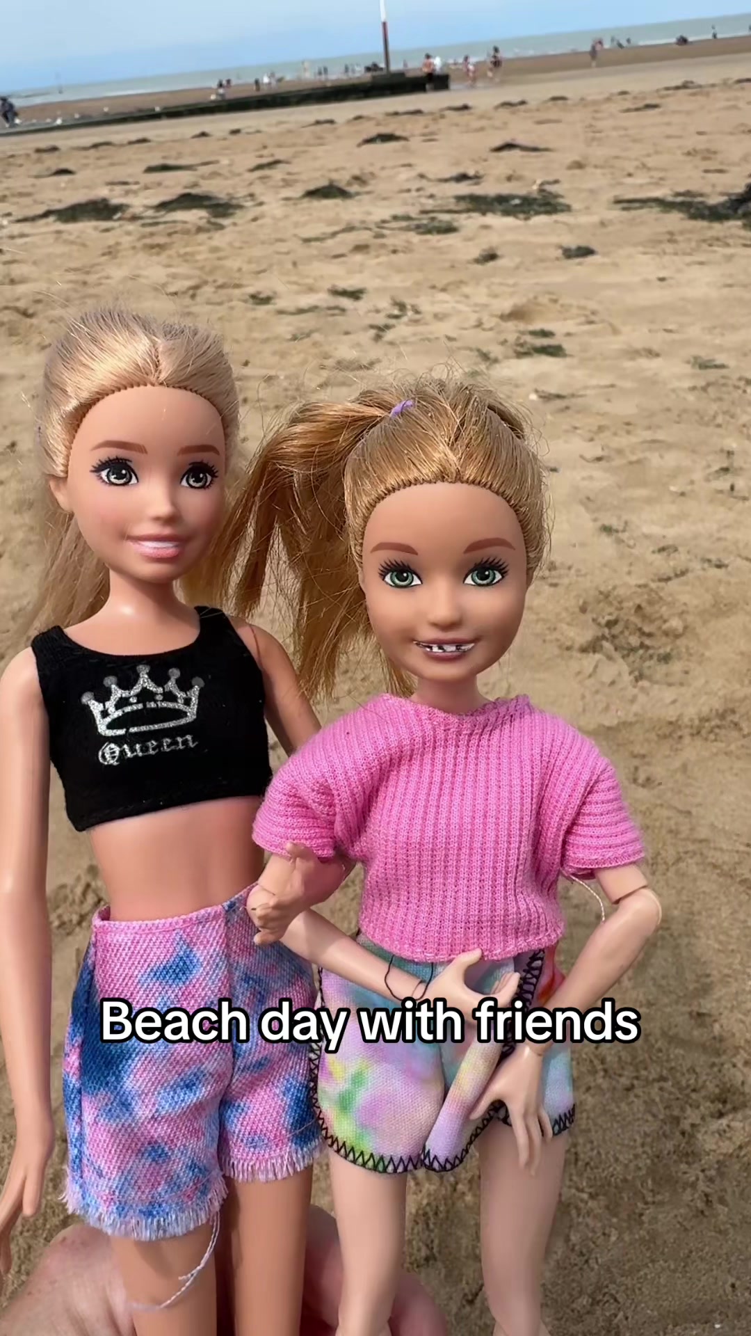 @diversedollhouse