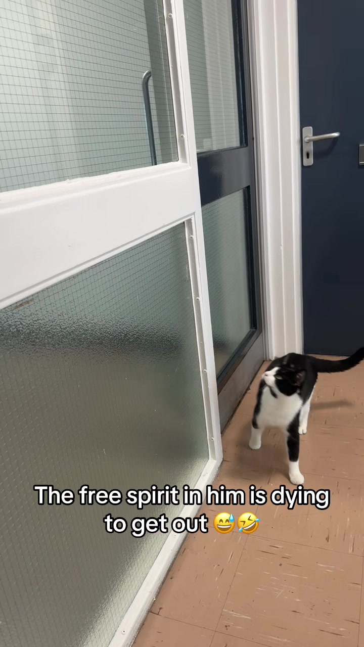 @Paigeyy