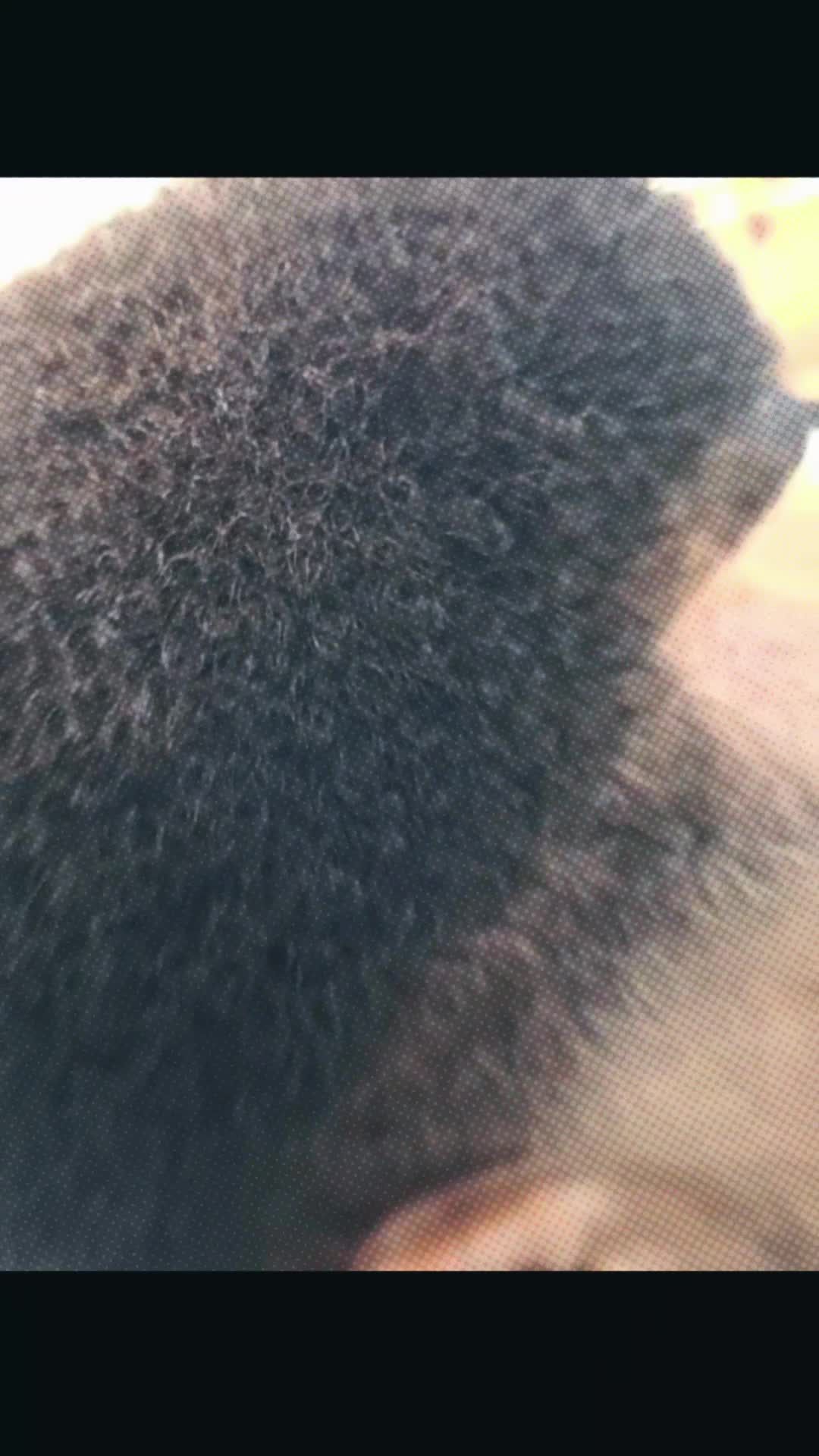 @barber.du.v