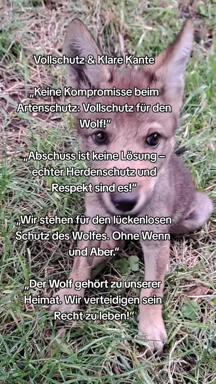 @schützt-den-wolf 🇦🇹