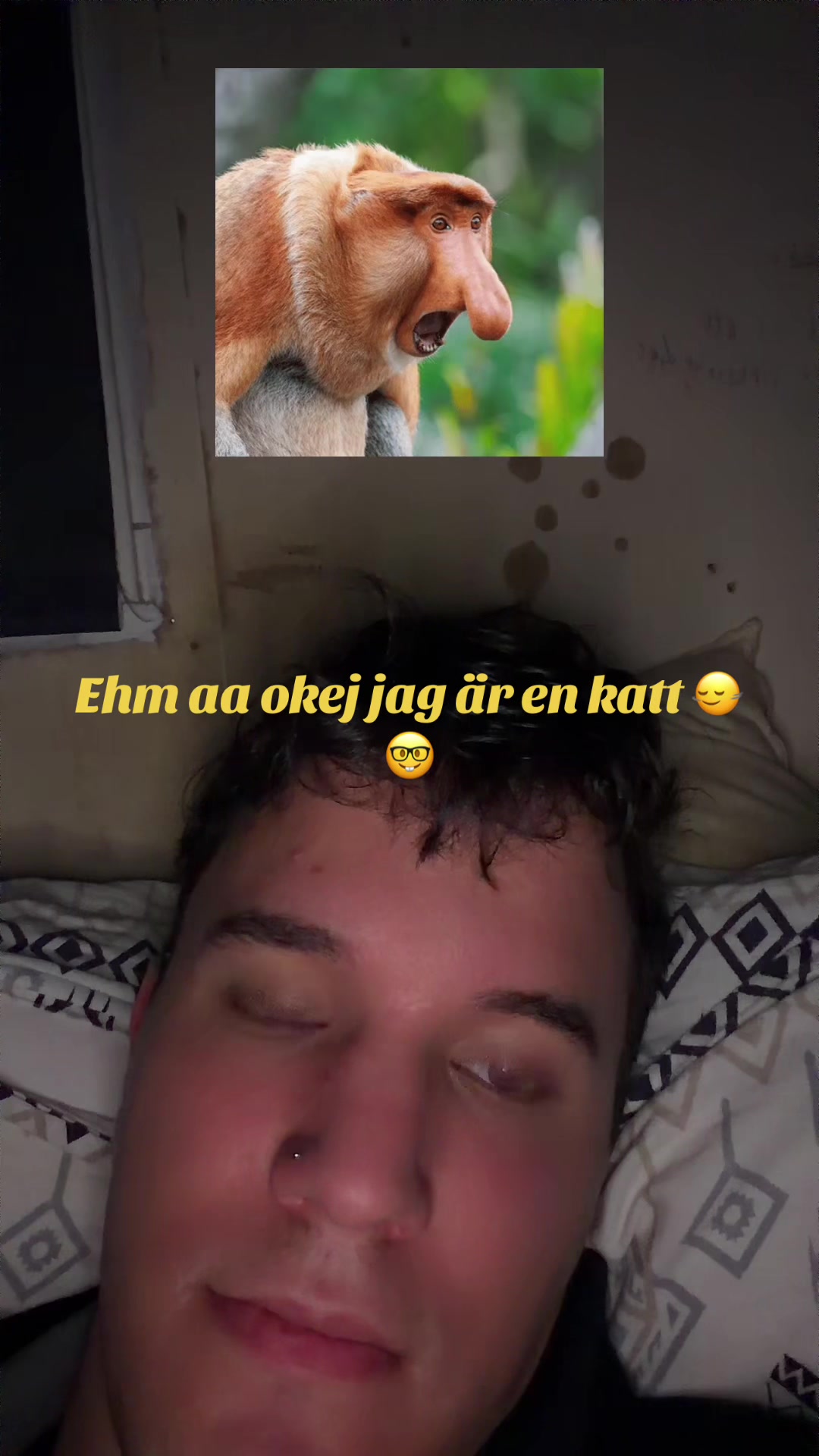 @kristoffer
