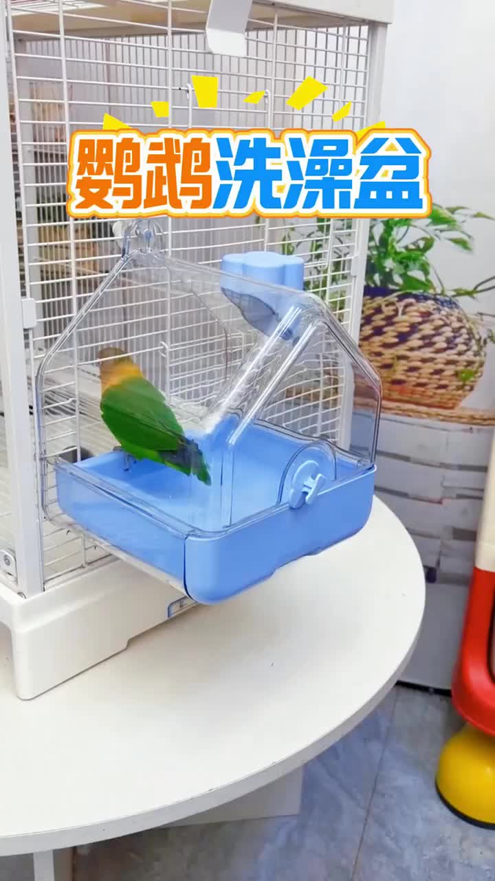 @chinabirds47