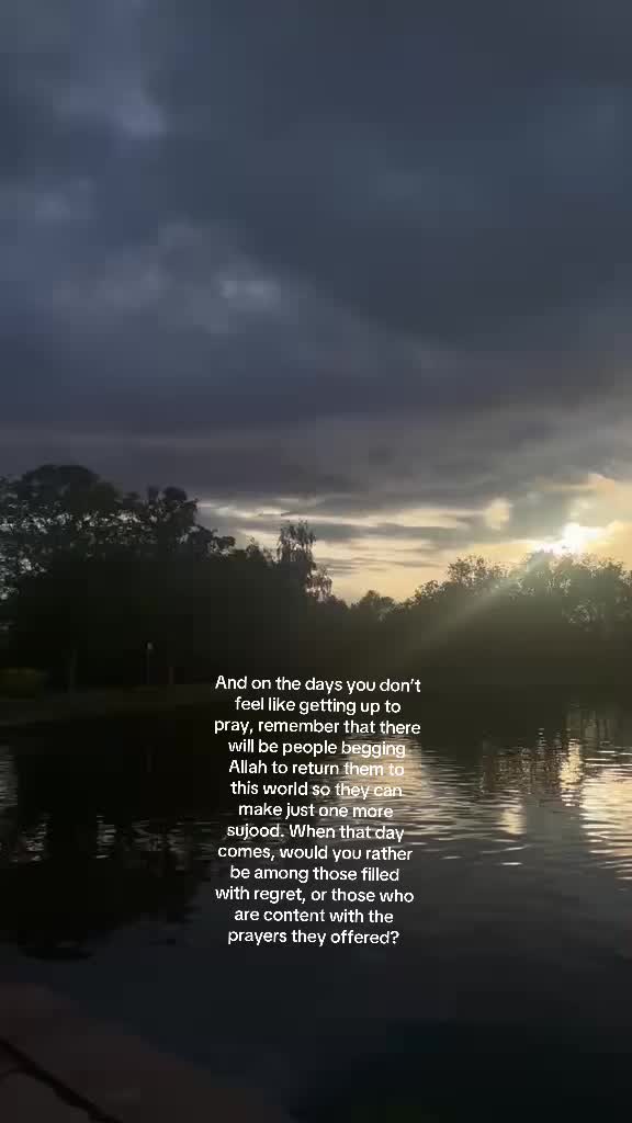 @No Doubt🕊️