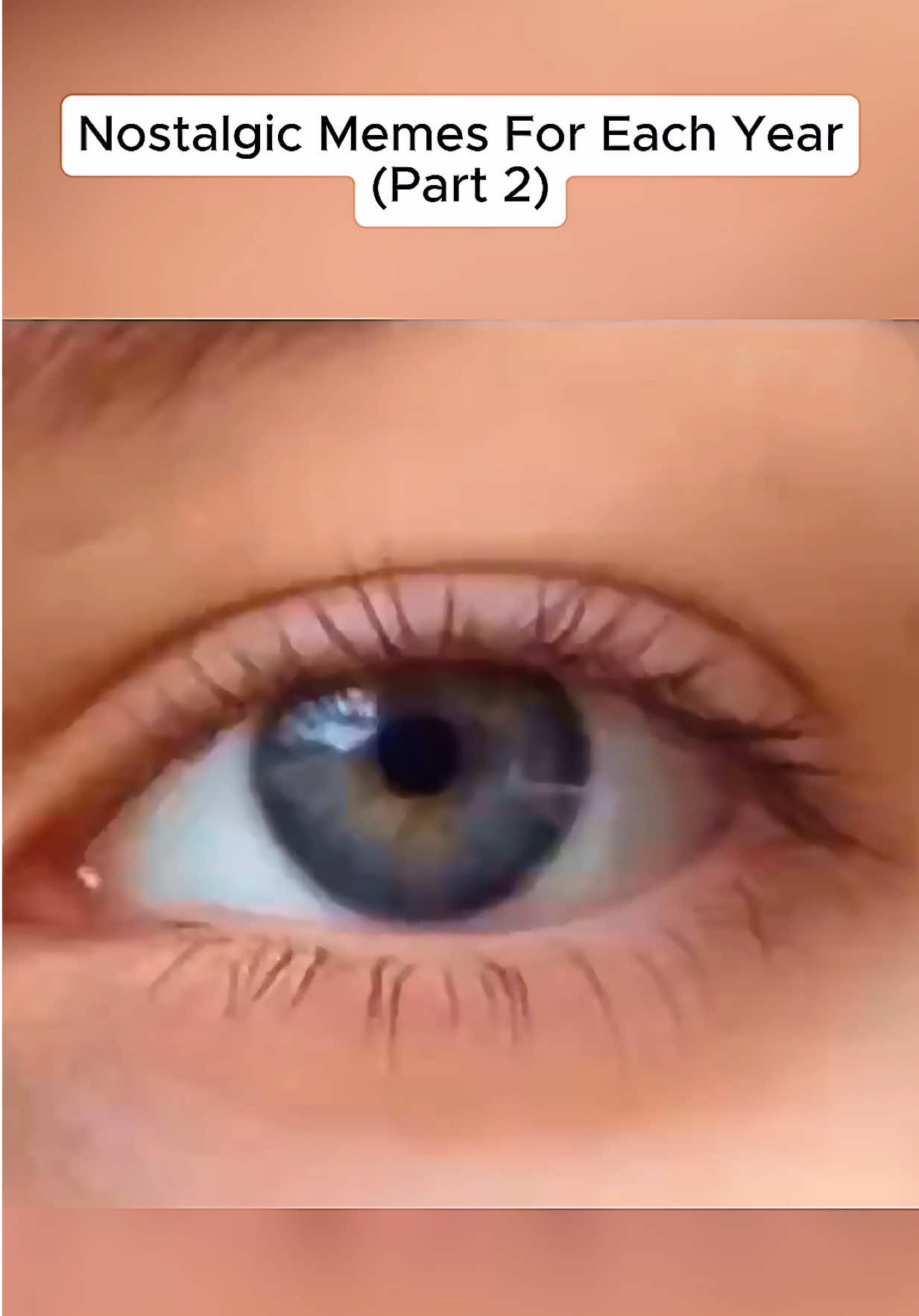 @NicheNovaNostalgia