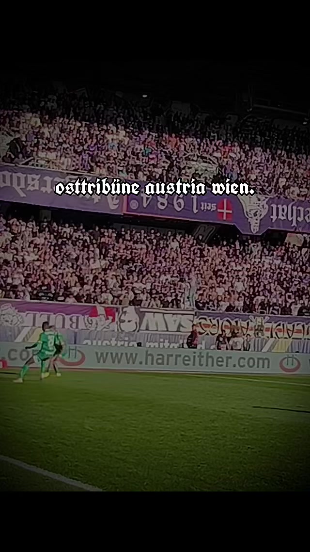@insta: forzaviola.1911
