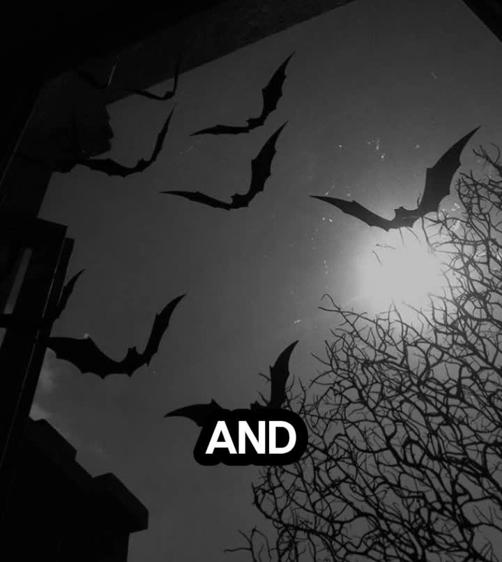 @jaydendiditforthenookie👻